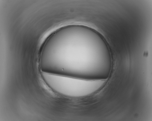 X0000112511511200908171035
