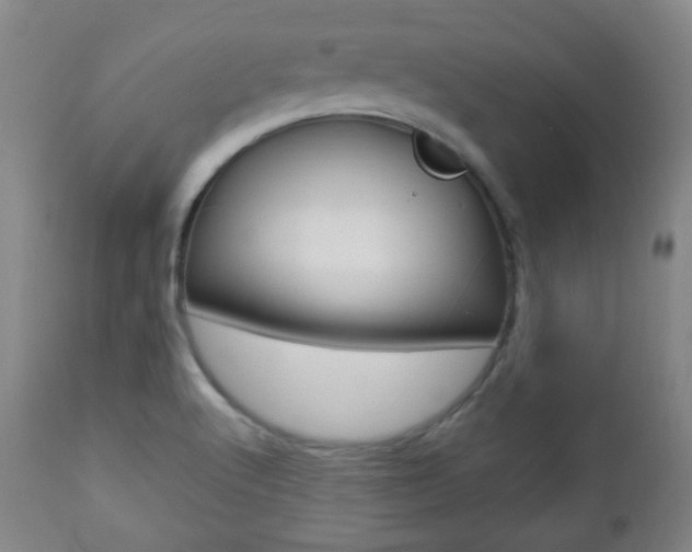 X0000112511512200908171035