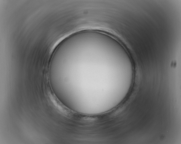 X0000112511513200908171035