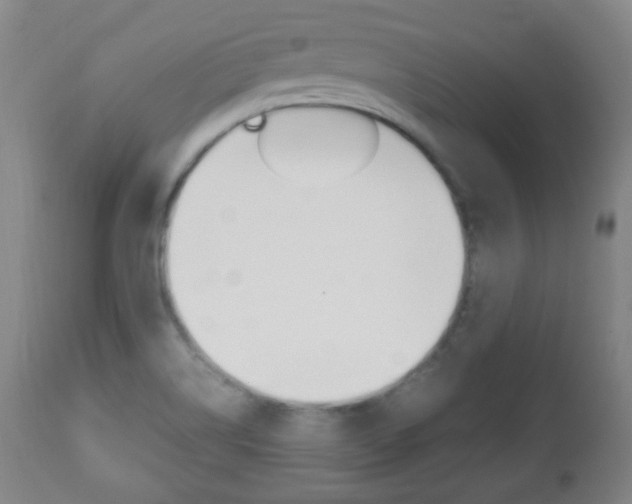 X0000112511514200908171035