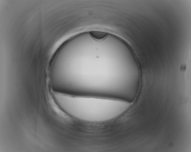 X0000112511515200908171035