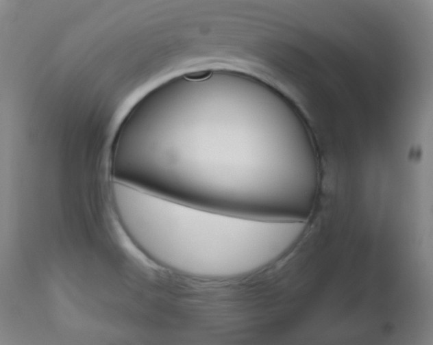 X0000112511516200908171035