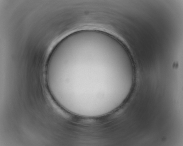X0000112511517200908171035