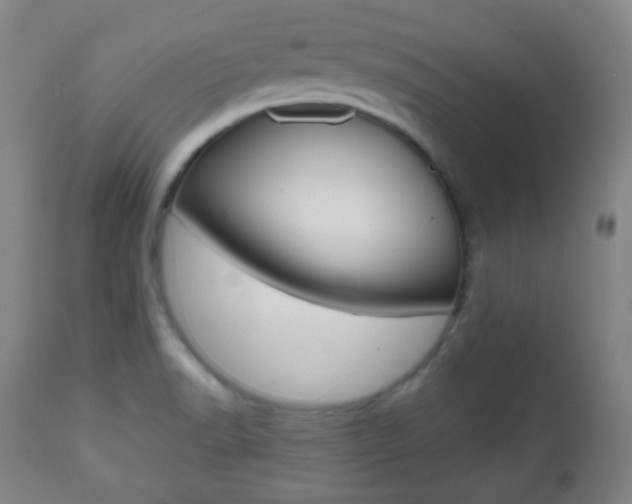 X0000112511518200908171035