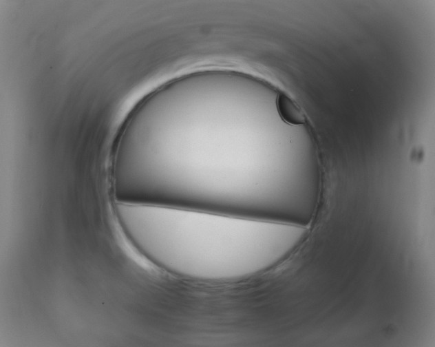 X0000112511519200908171035