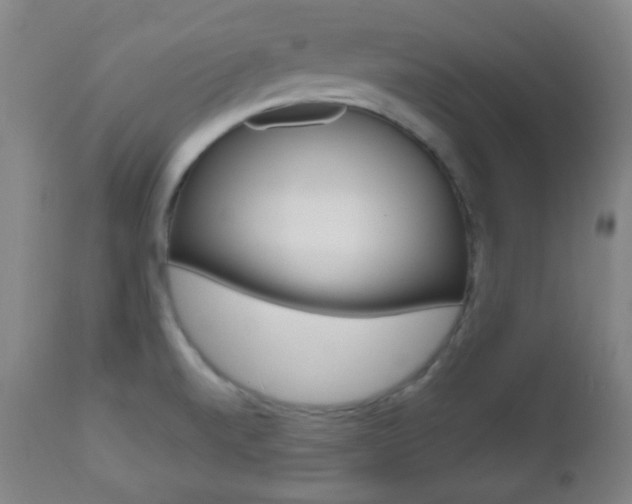 X0000112511520200908171035