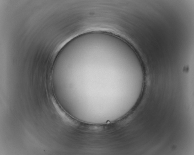 X0000112511521200908171035