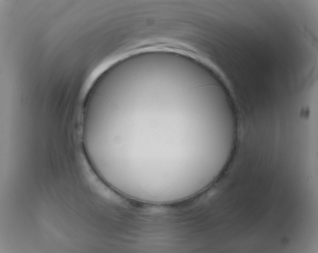 X0000112511522200908171035