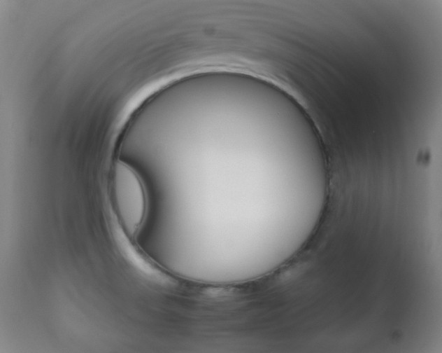 X0000112511523200908171035