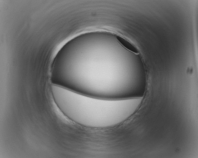 X0000112511524200908171035