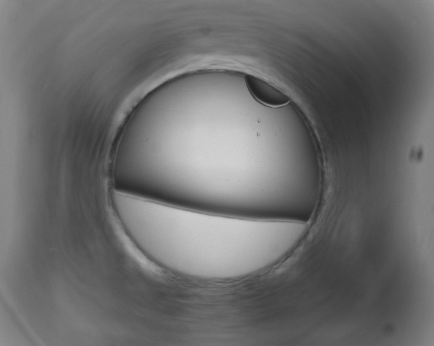 X0000112511525200908171035