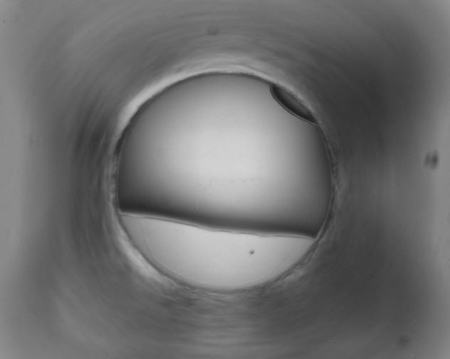 X0000112511526200908171035