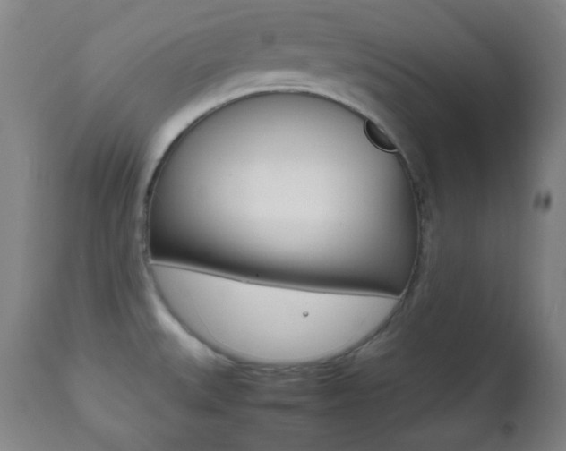 X0000112511527200908171035