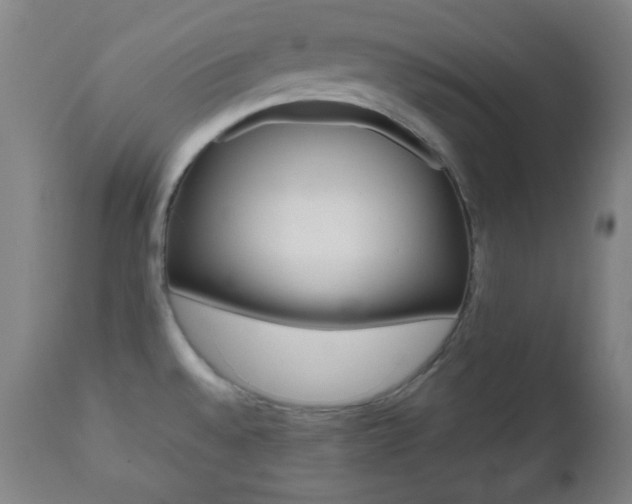 X0000112511528200908171035