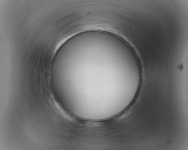 X0000112511529200908171035