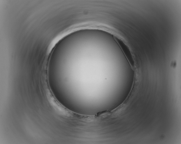X0000112511530200908171035