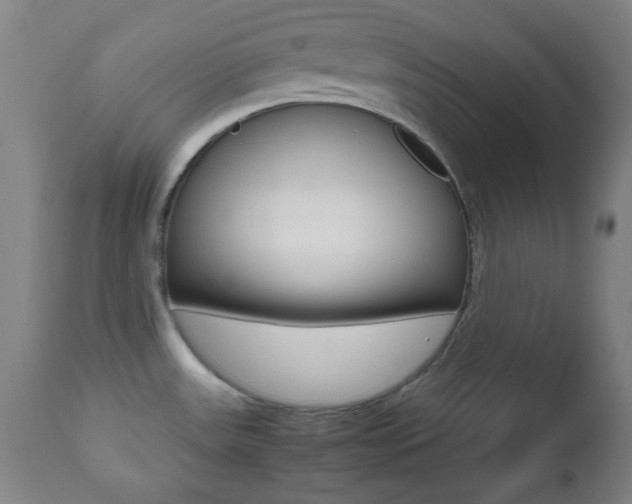 X0000112511531200908171035