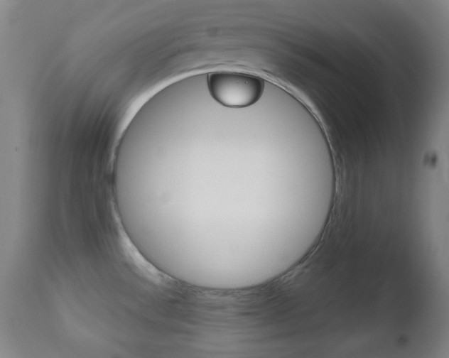 X0000112511532200908171035