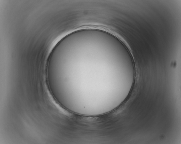 X0000112511533200908171035