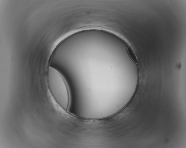 X0000112511534200908171035