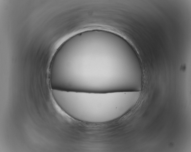 X0000112511535200908171035