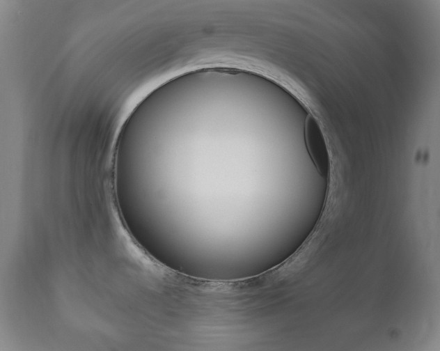 X0000112511536200908171036