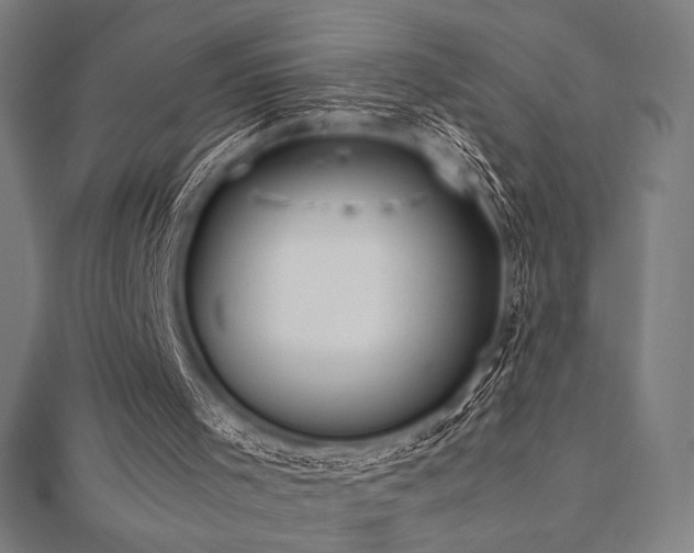 X0000112510001200908171343