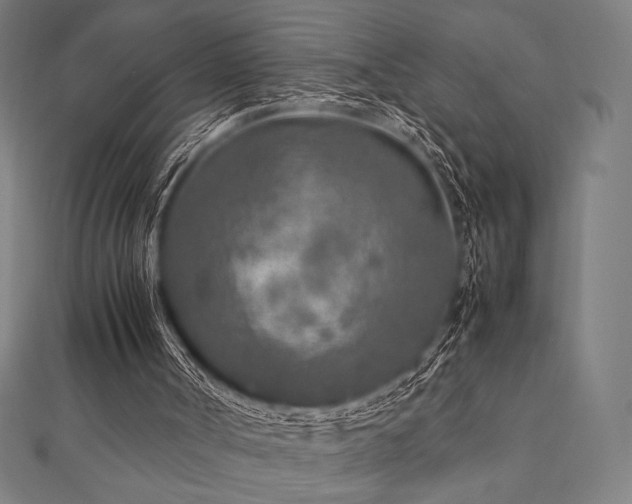 X0000112510002200908171343