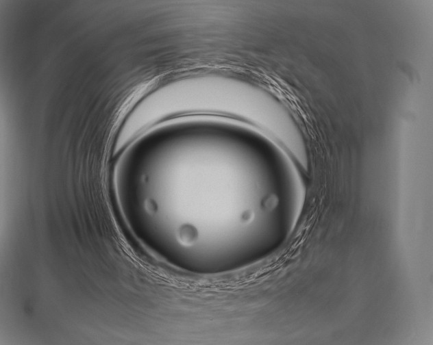 X0000112510003200908171343