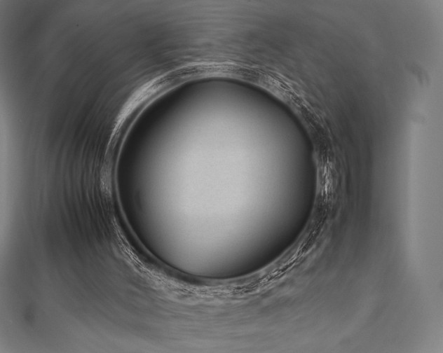 X0000112510004200908171343