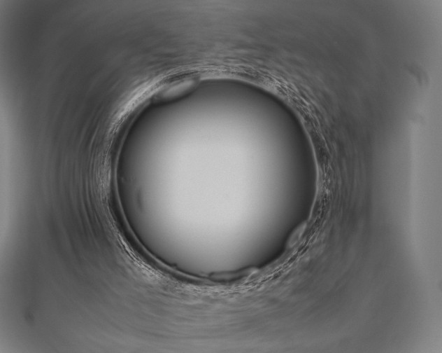 X0000112510005200908171343