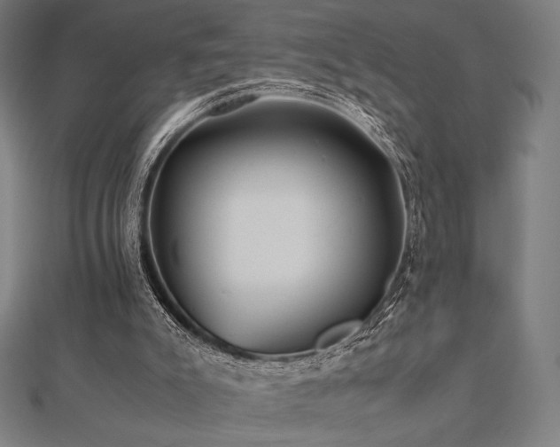 X0000112510007200908171343