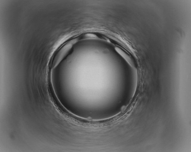 X0000112510008200908171343