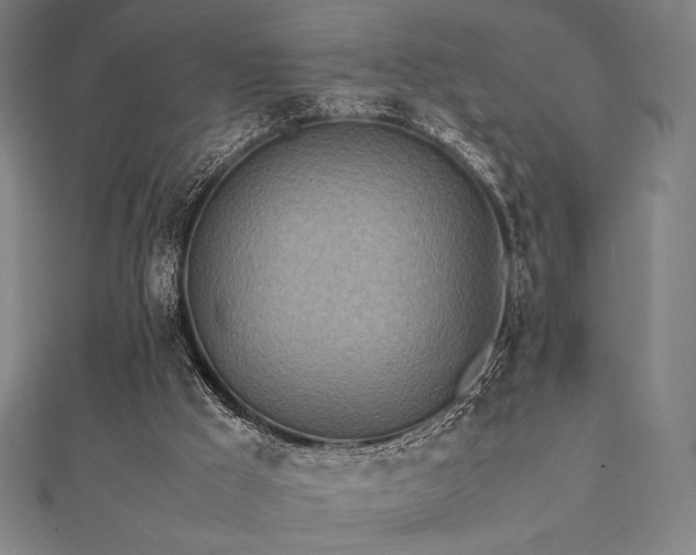 X0000112510009200908171343