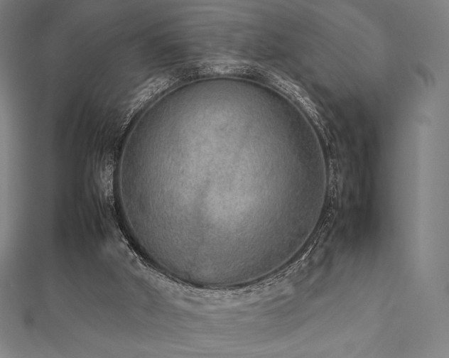 X0000112510010200908171343