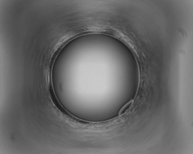 X0000112510011200908171343