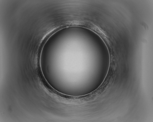 X0000112510012200908171343