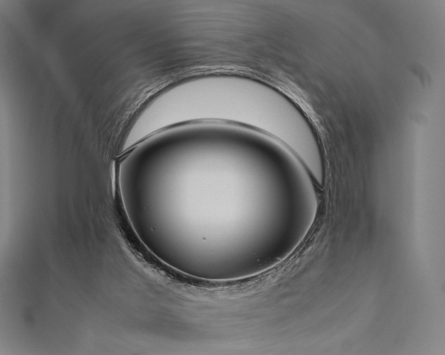 X0000112510013200908171343