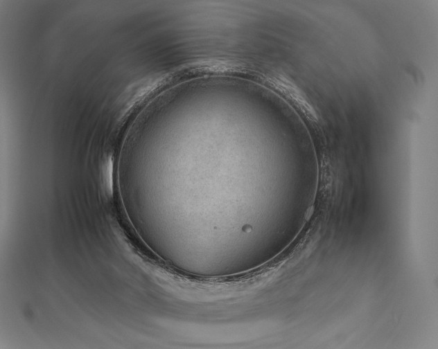 X0000112510014200908171343