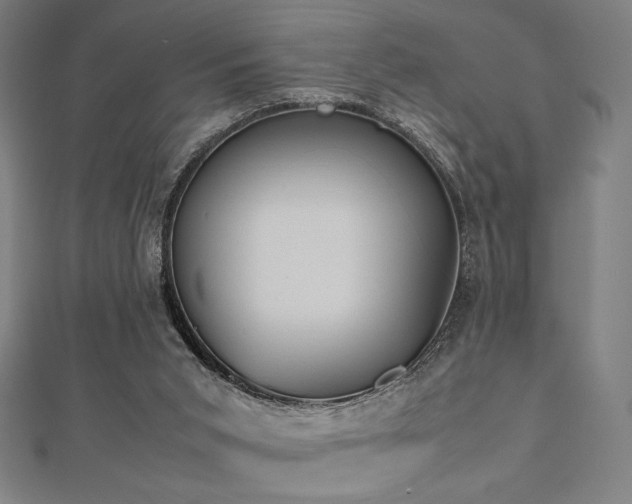 X0000112510015200908171343