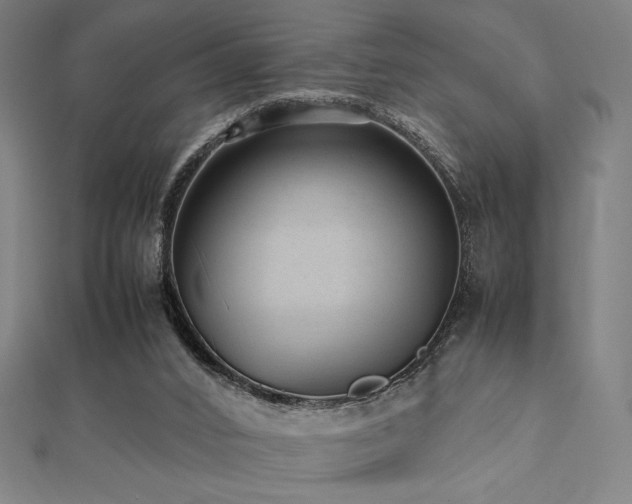 X0000112510016200908171343