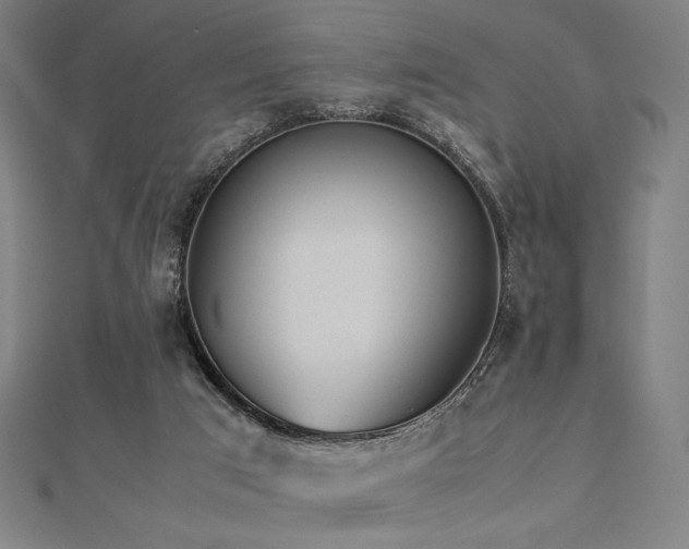 X0000112510017200908171343