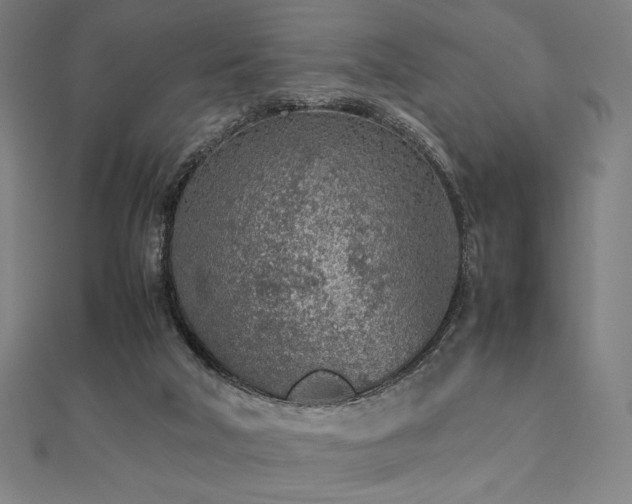 X0000112510018200908171343