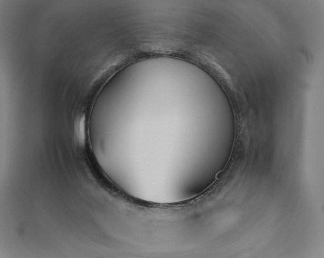 X0000112510020200908171343