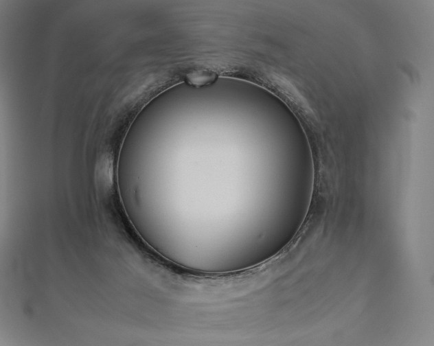 X0000112510021200908171343