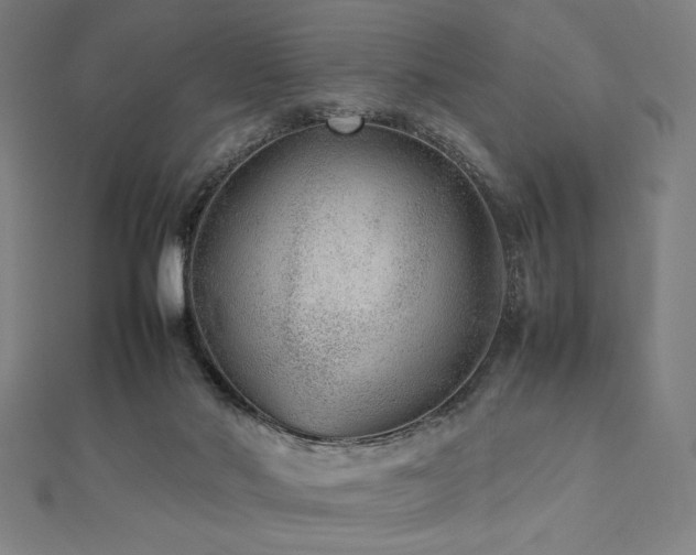 X0000112510022200908171343