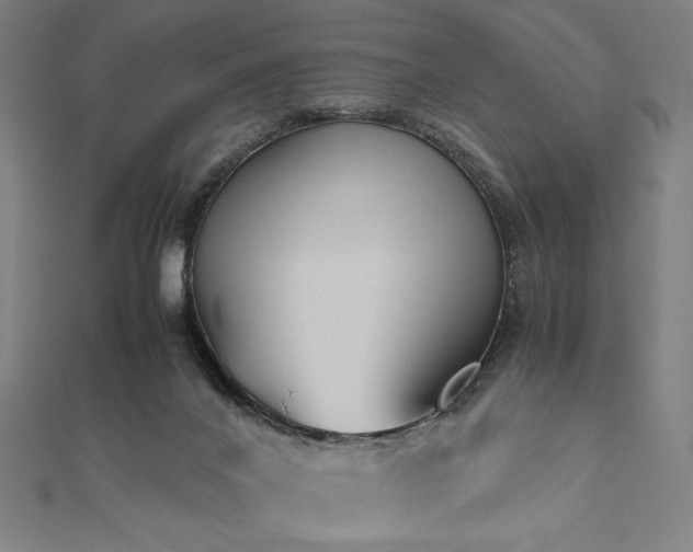 X0000112510024200908171343