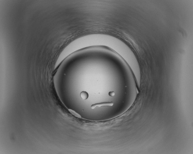 X0000112510025200908171343