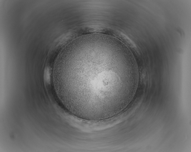 X0000112510026200908171343