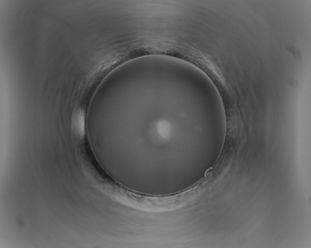 X0000112510027200908171343